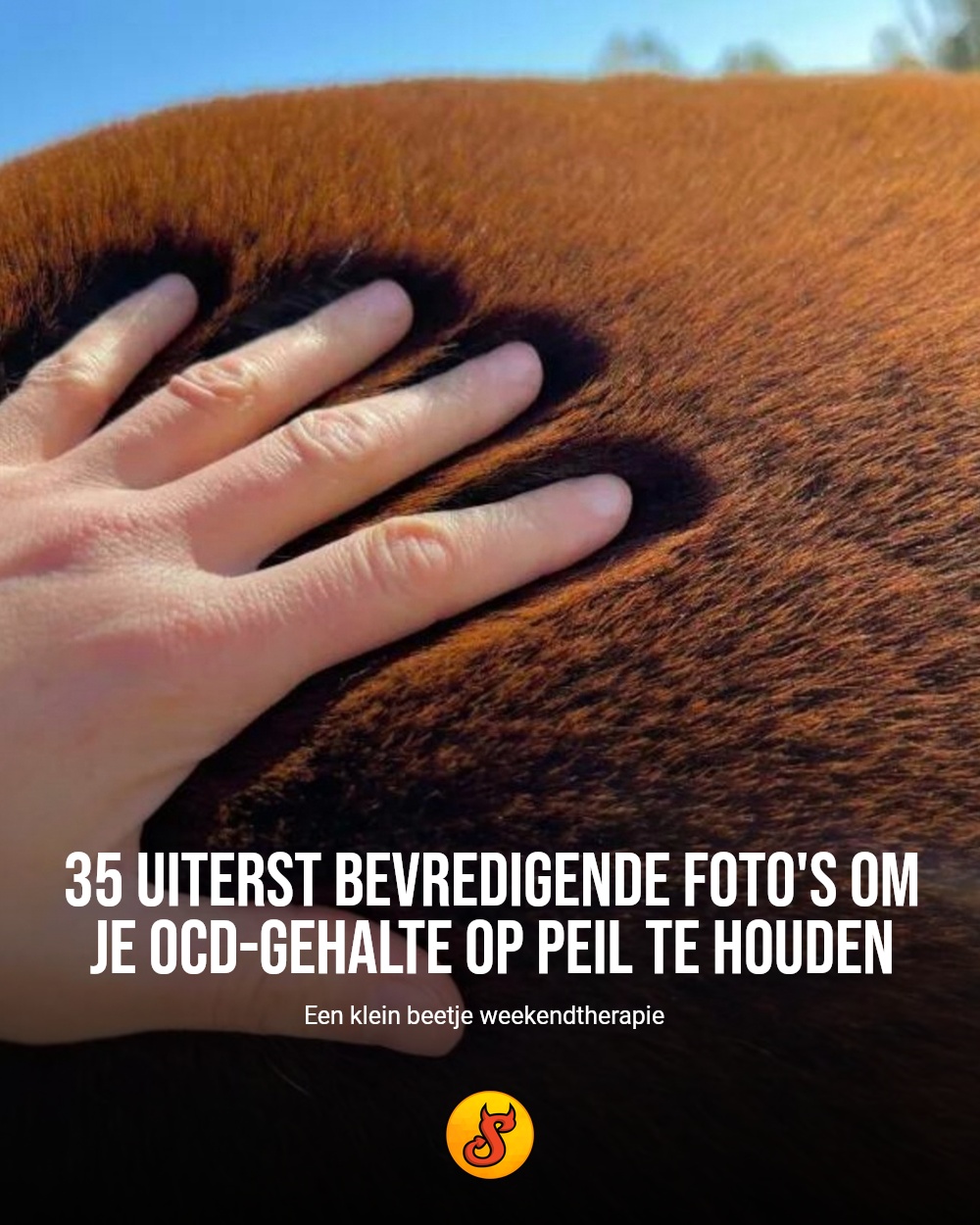 35 uiterst bevredigende foto's om je OCD-gehalte op peil te houden