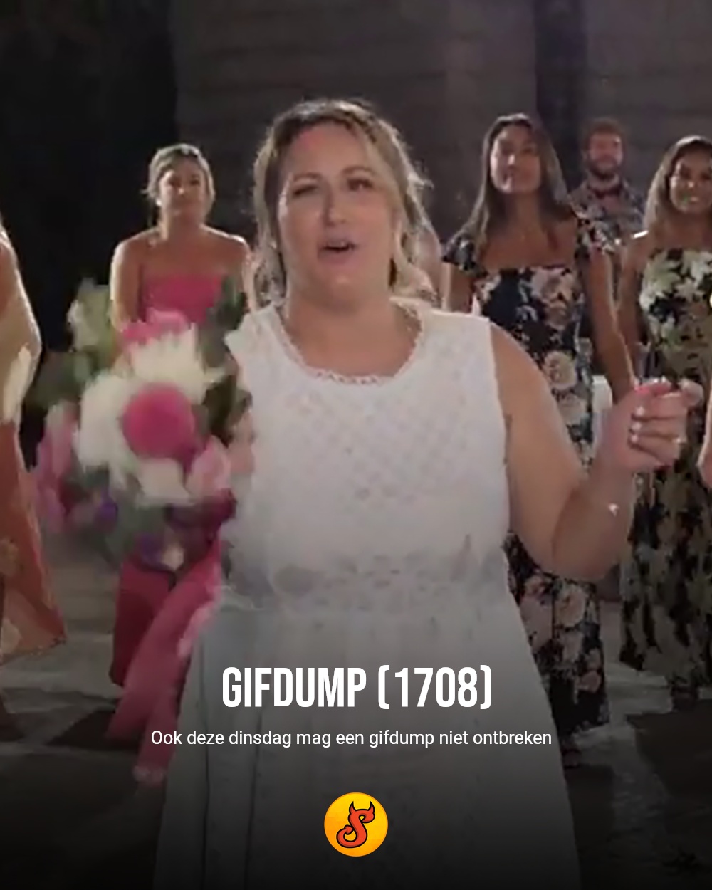 Gifdump (1708)