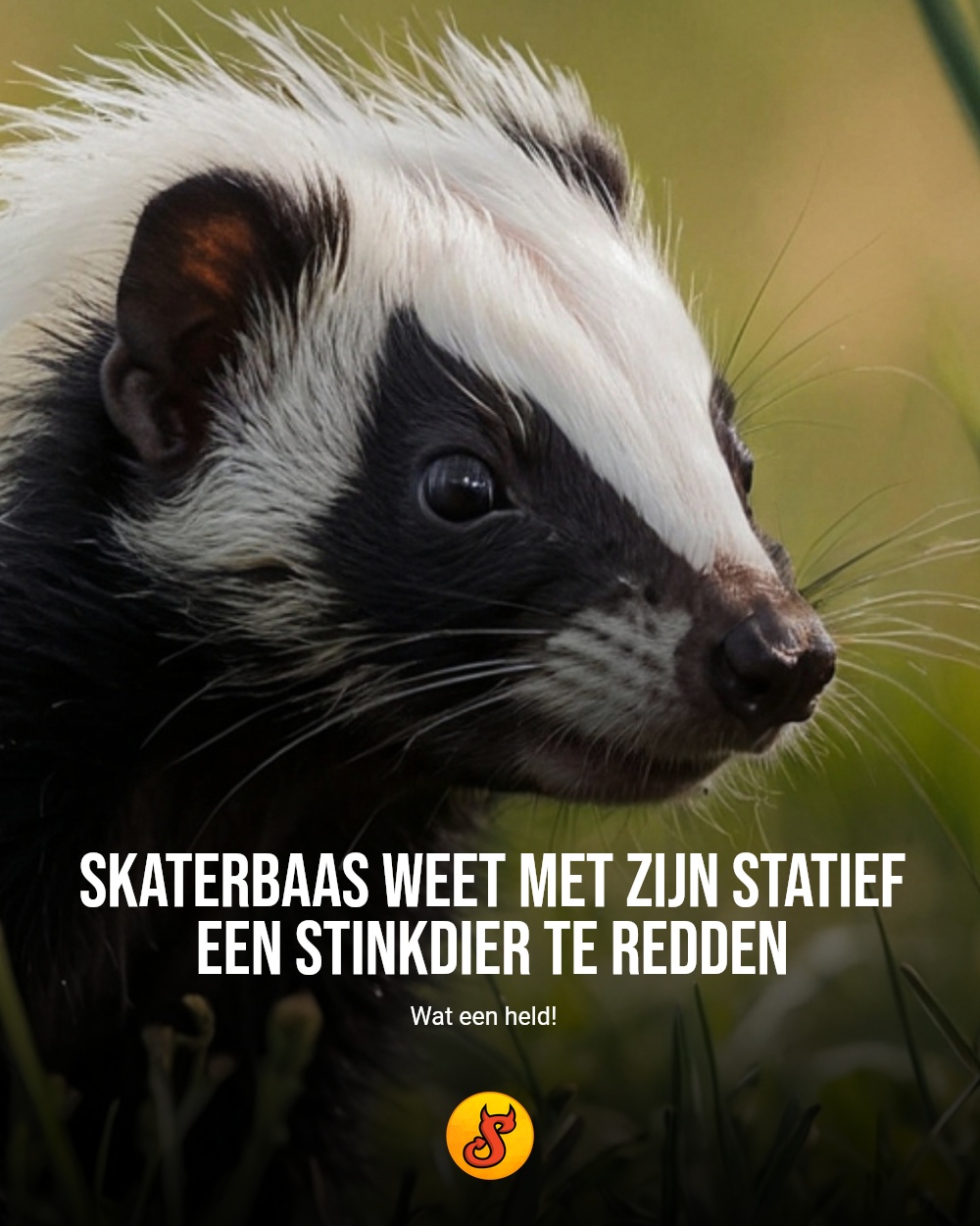 Skaterbaas weet met zijn statief een stinkdier te redden