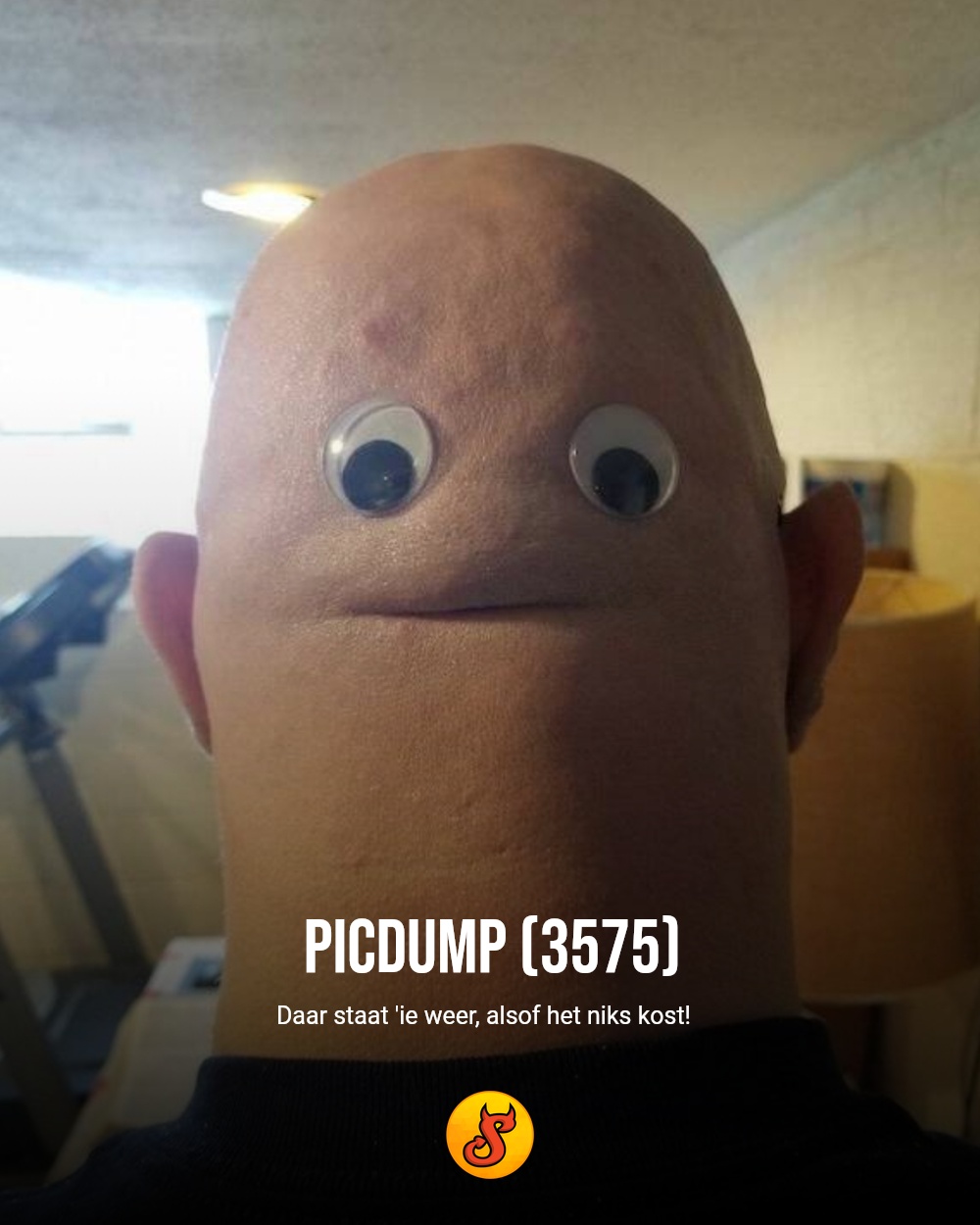 Picdump (3575)