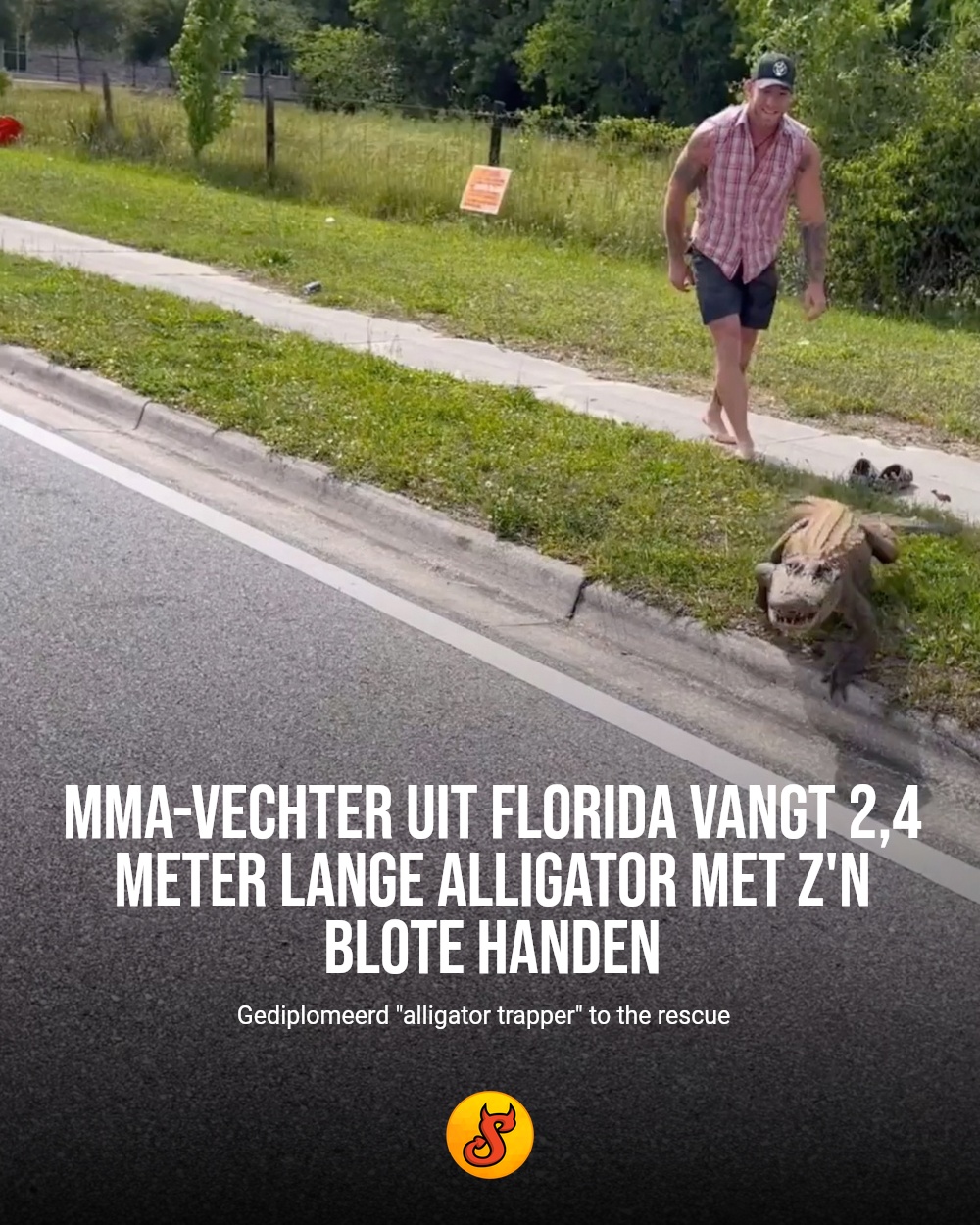 MMA-vechter uit Florida vangt 2,4 meter lange alligator met z'n blote handen