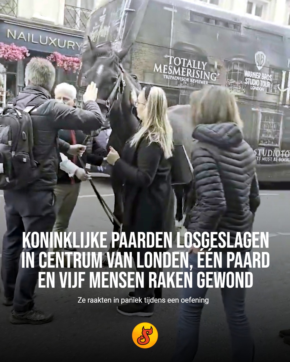 Koninklijke paarden losgeslagen in centrum van Londen, één paard en vijf mensen raken gewond