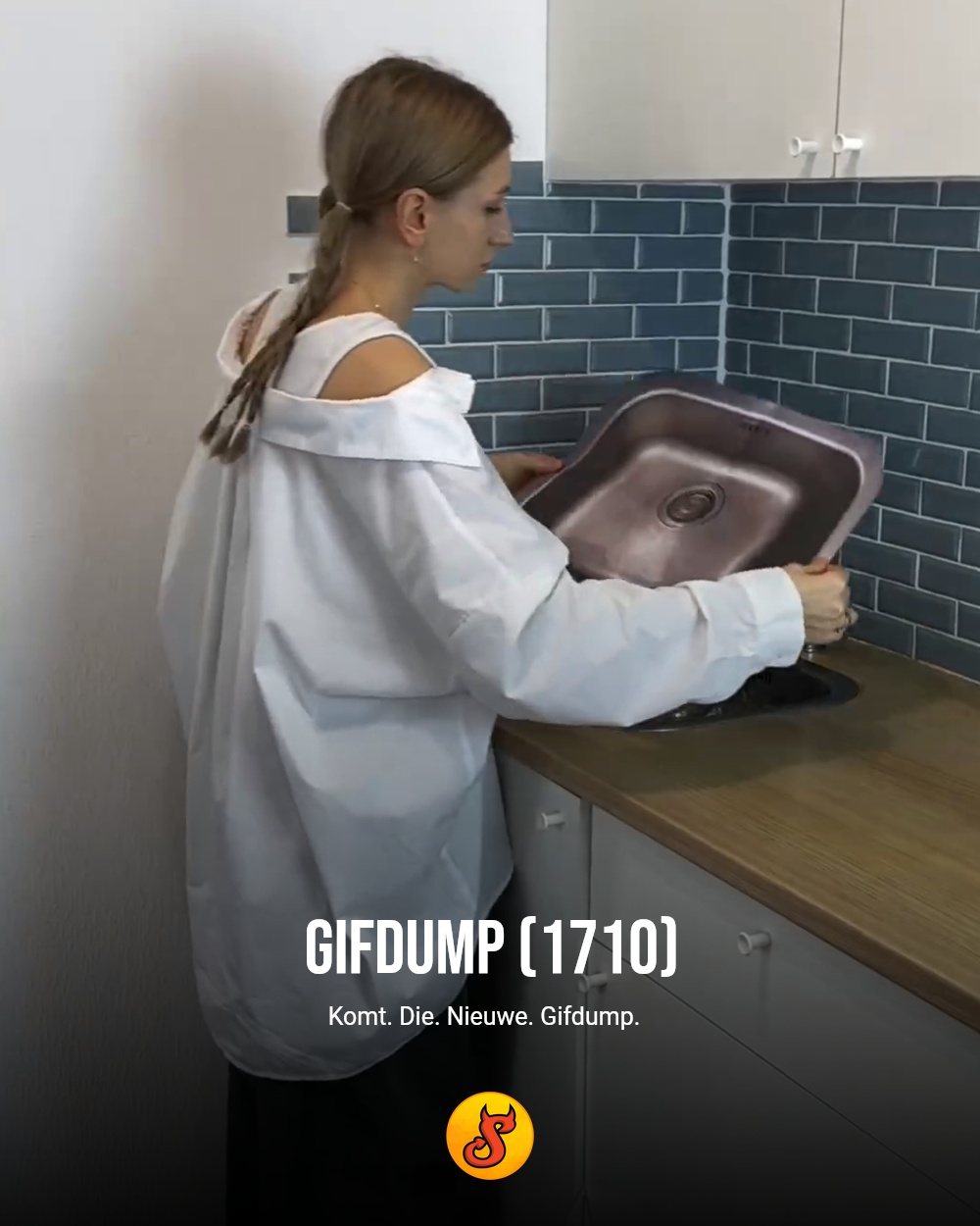 Gifdump (1710)