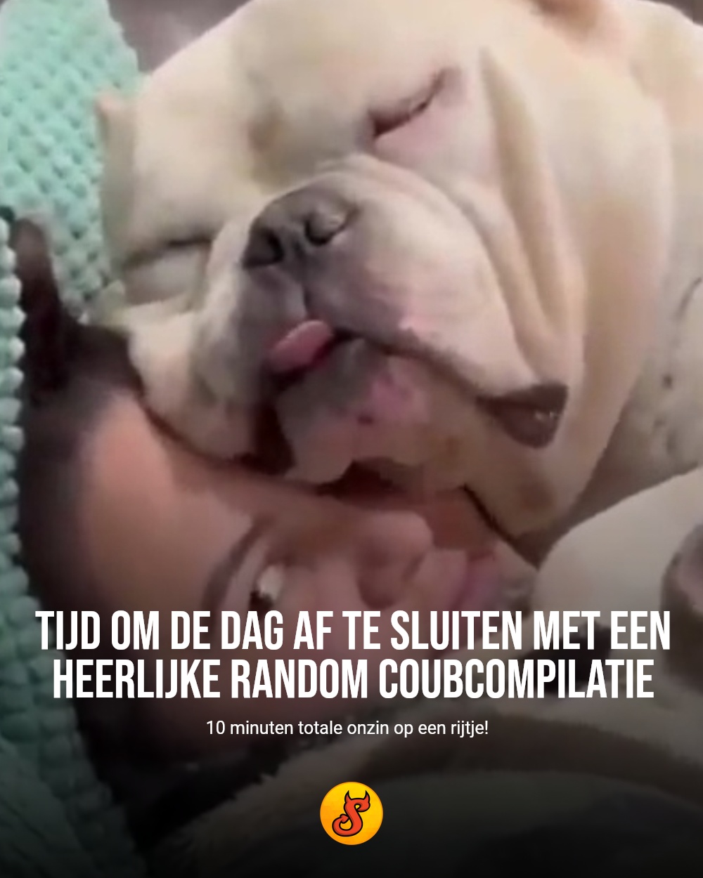 Tijd om de dag af te sluiten met een heerlijke random coubcompilatie