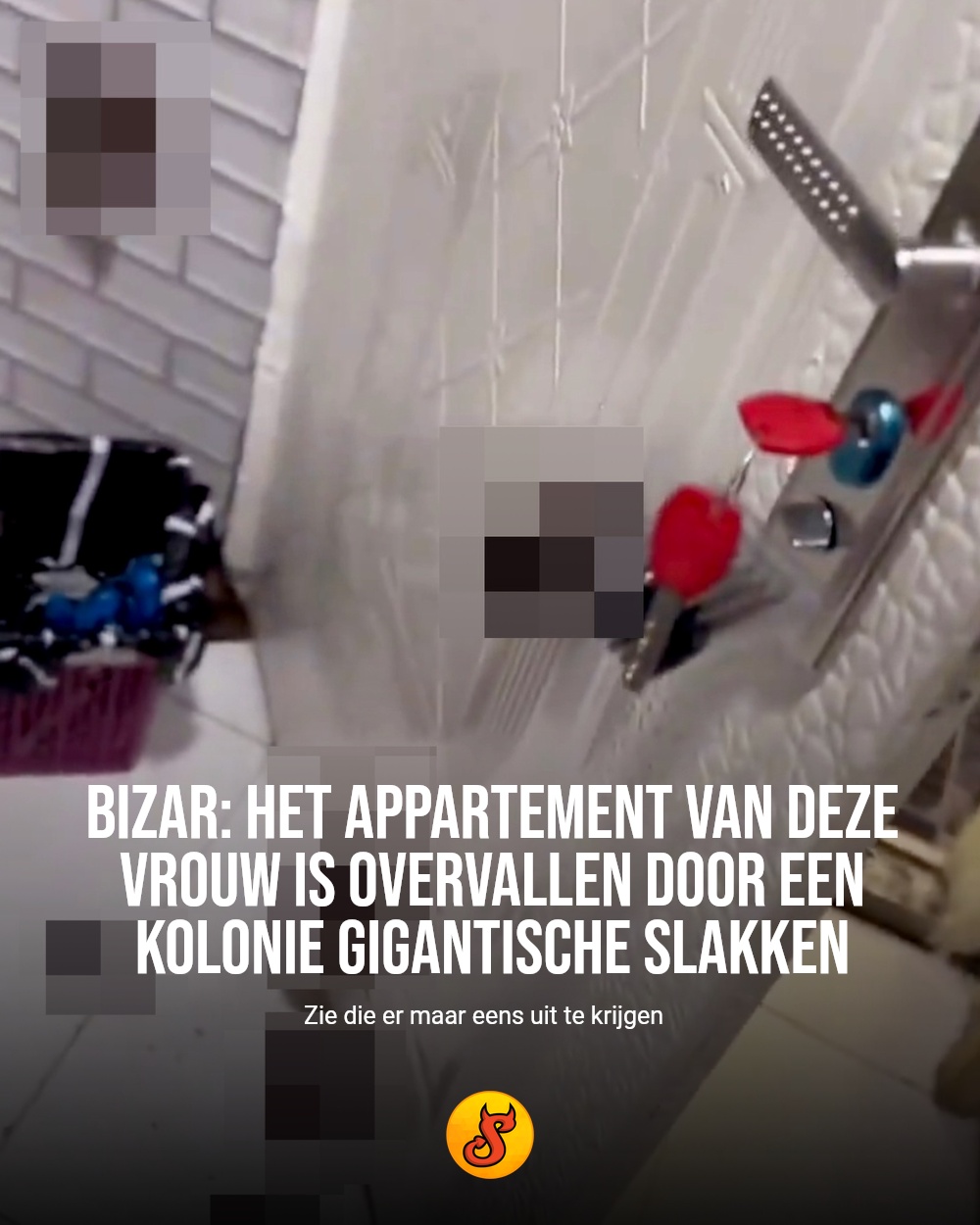 Bizar: het appartement van deze vrouw is overvallen door een kolonie gigantische slakken