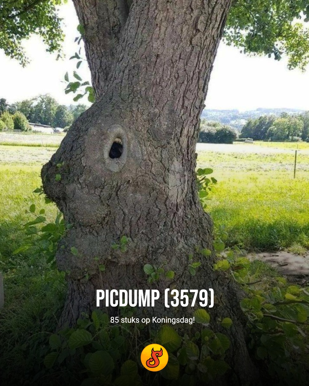 Picdump (3579)