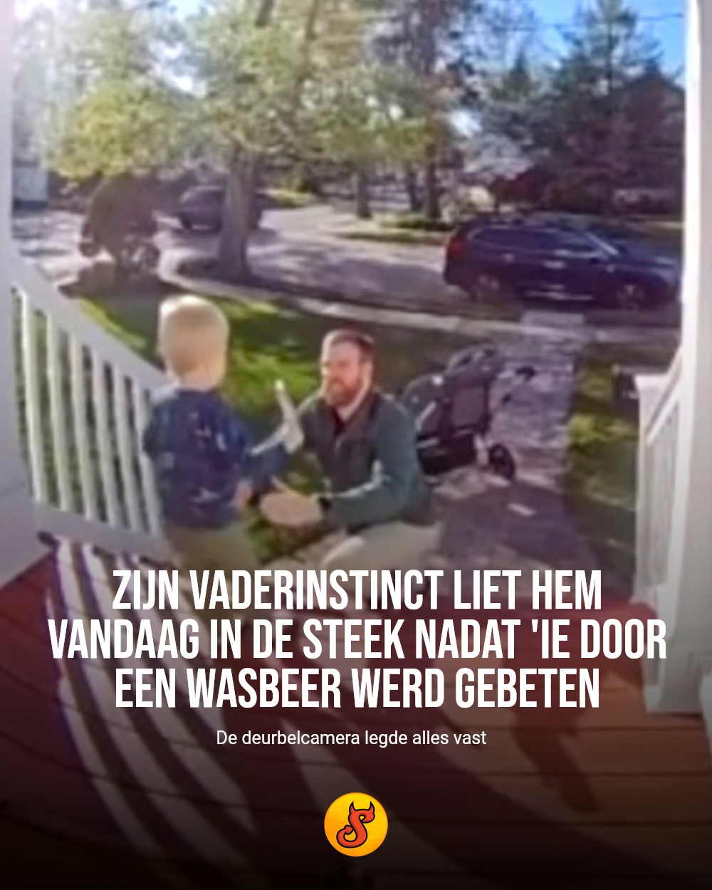 Zijn vaderinstinct liet hem vandaag in de steek nadat 'ie door een wasbeer werd gebeten