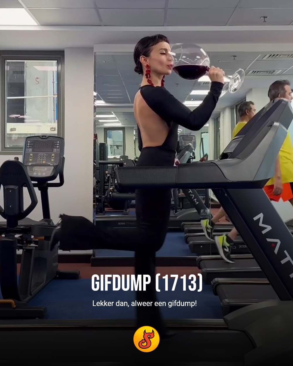 Gifdump (1713)