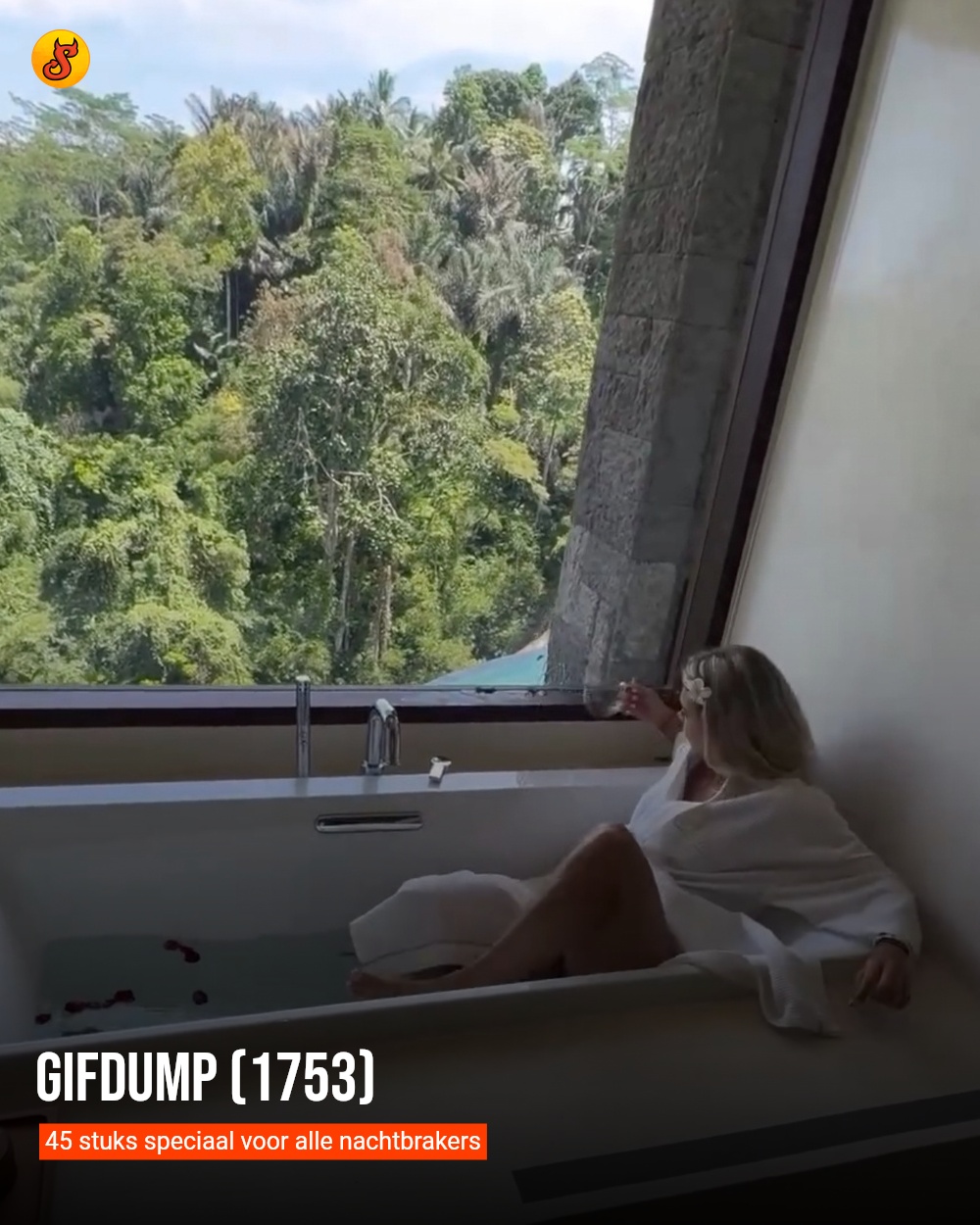 Gifdump (1753)