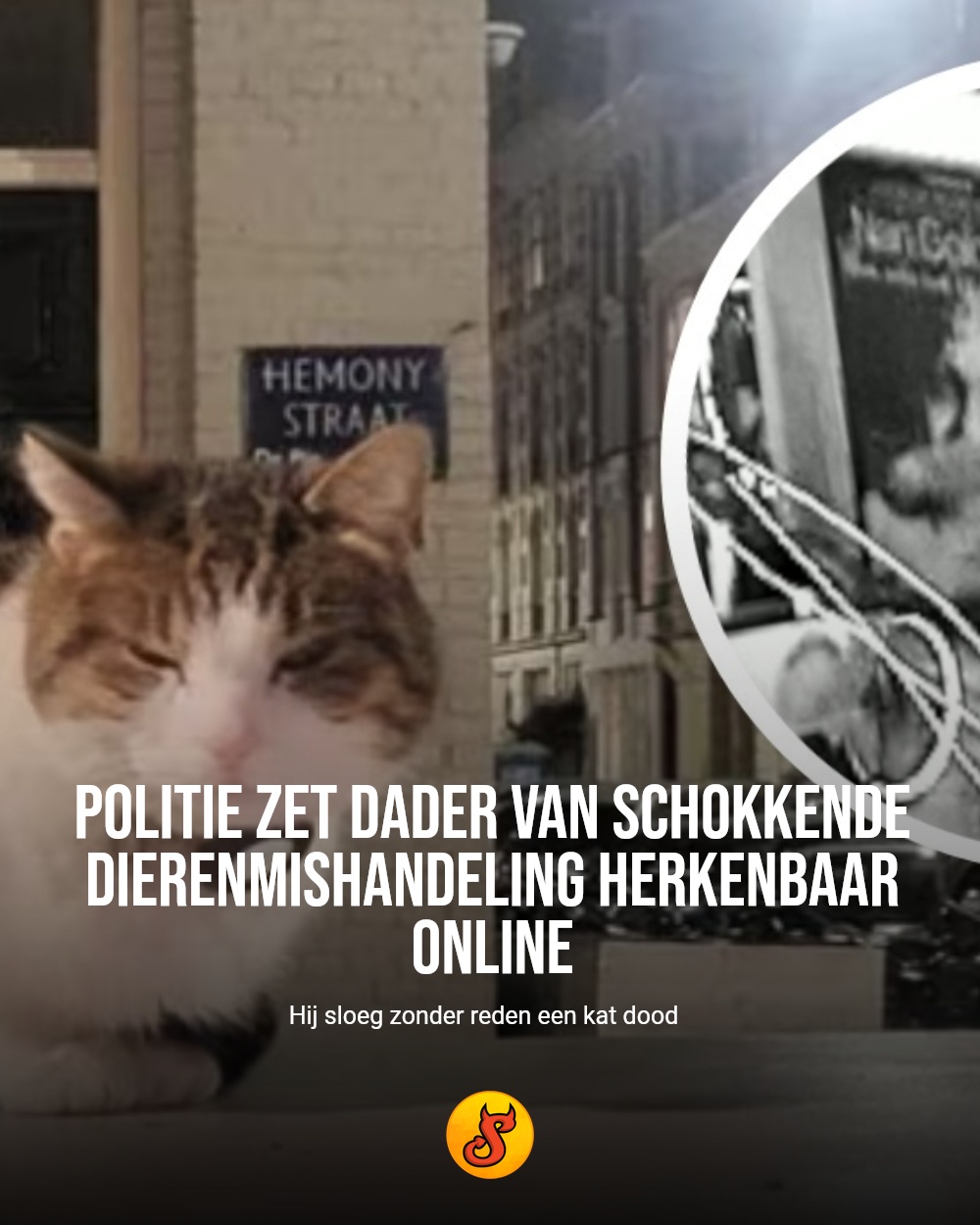 Politie zet dader van schokkende dierenmishandeling herkenbaar online