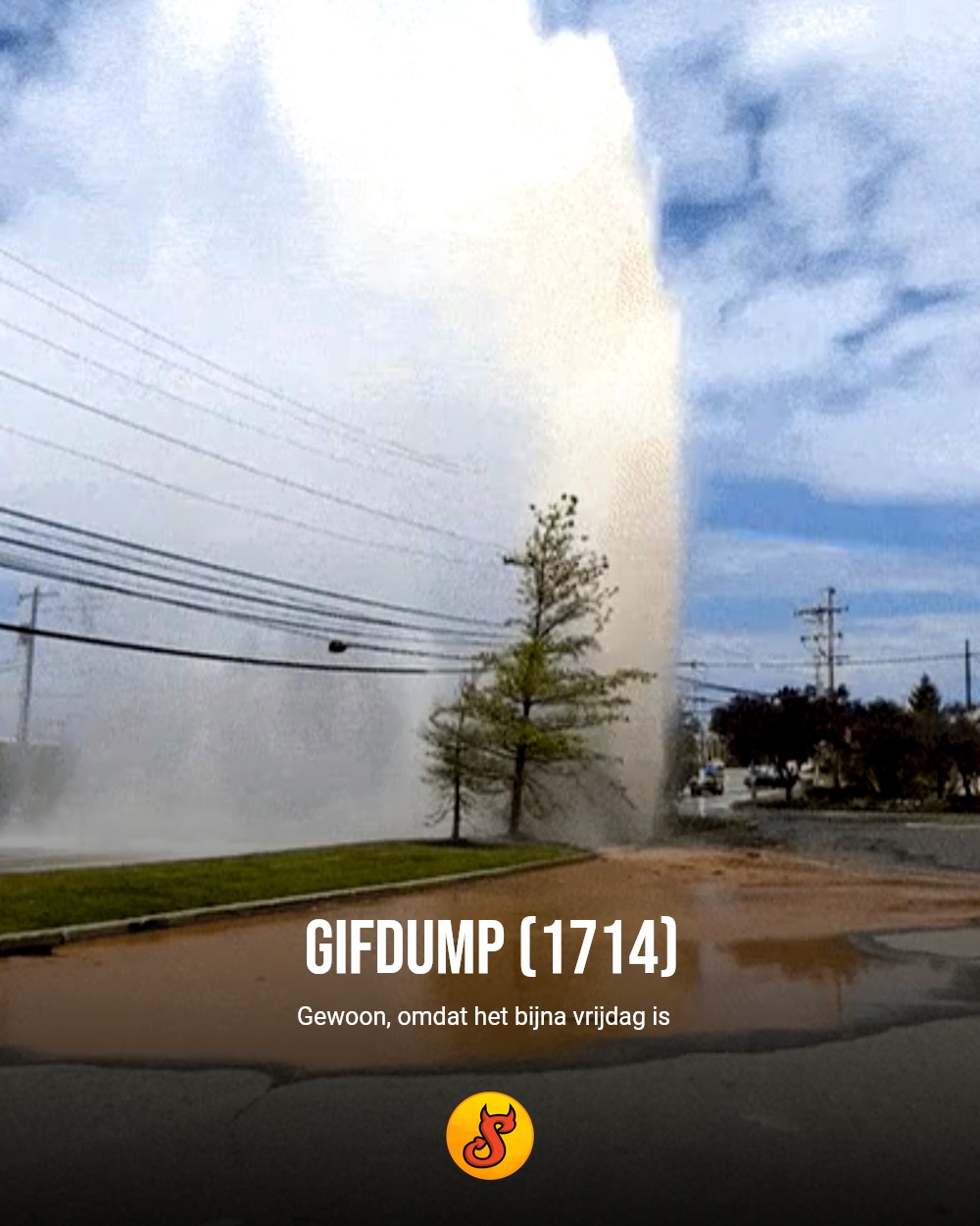 Gifdump (1714)