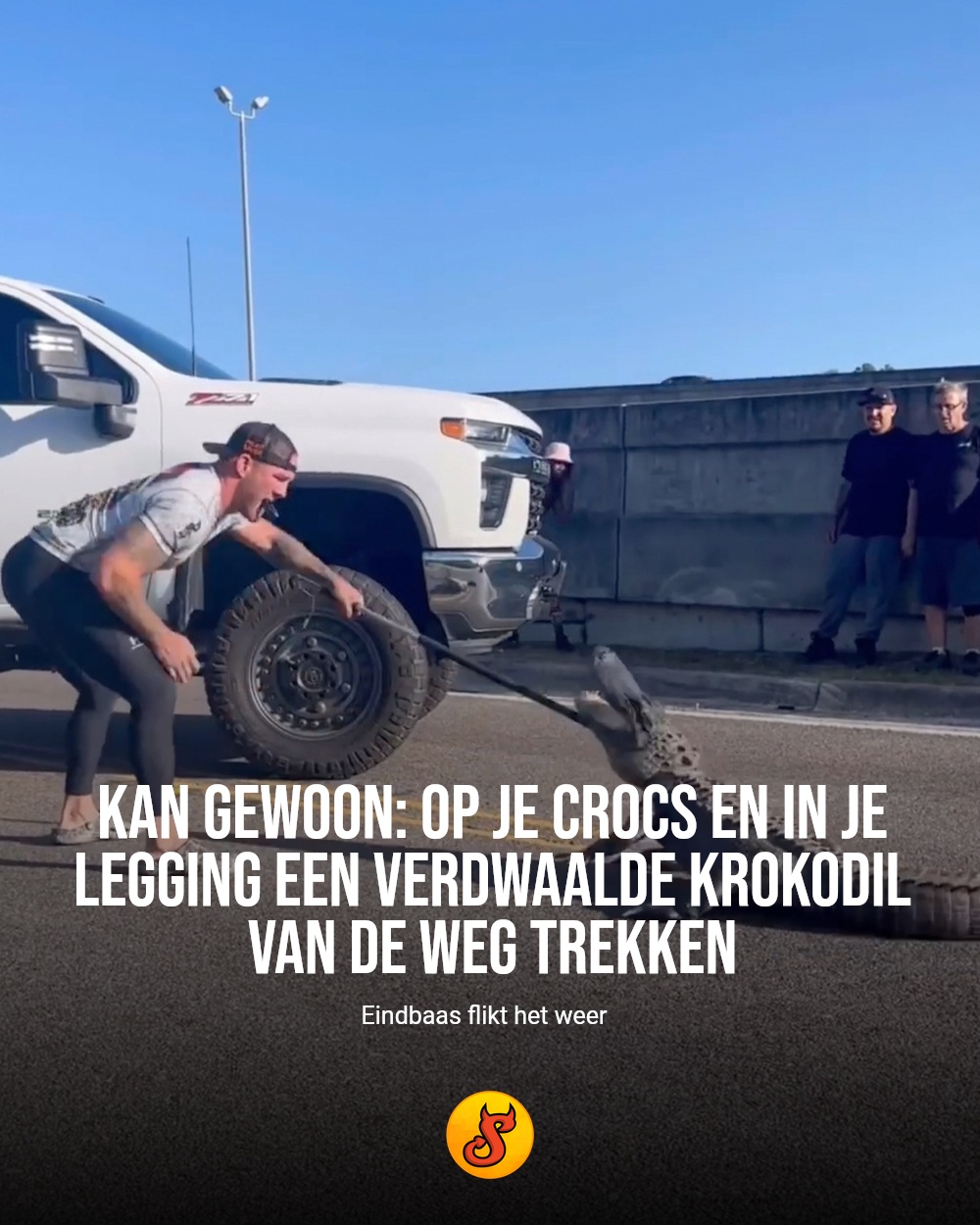 Kan gewoon: op je crocs en in je legging een verdwaalde krokodil van de weg trekken