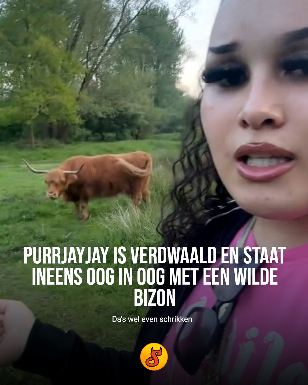 Purrjayjay is verdwaald en staat ineens oog in oog met een wilde bizon