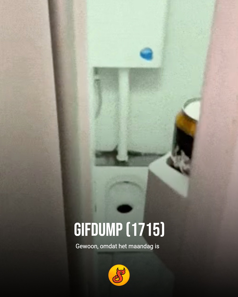Gifdump (1715)