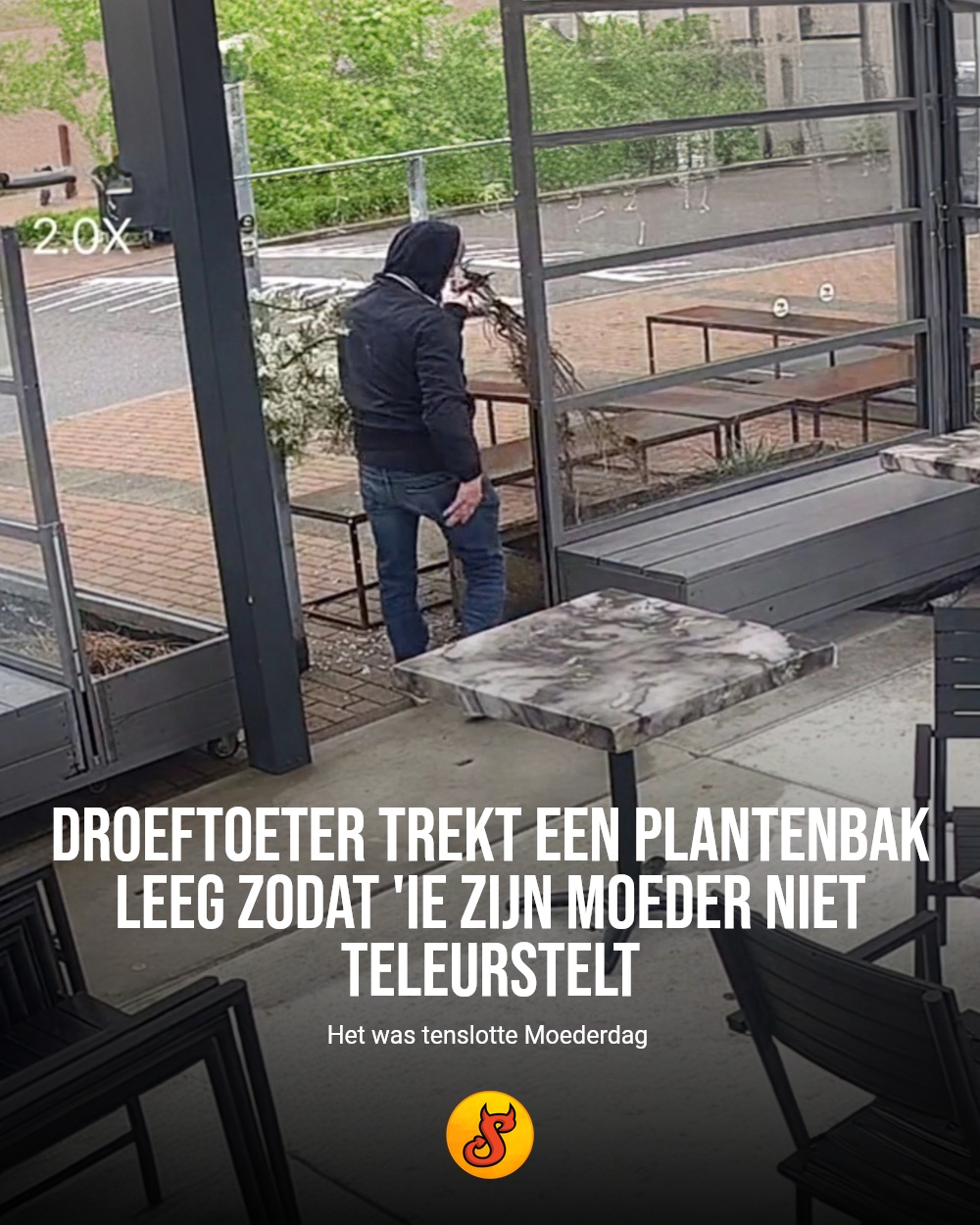 Droeftoeter trekt een plantenbak leeg zodat 'ie zijn moeder niet teleurstelt