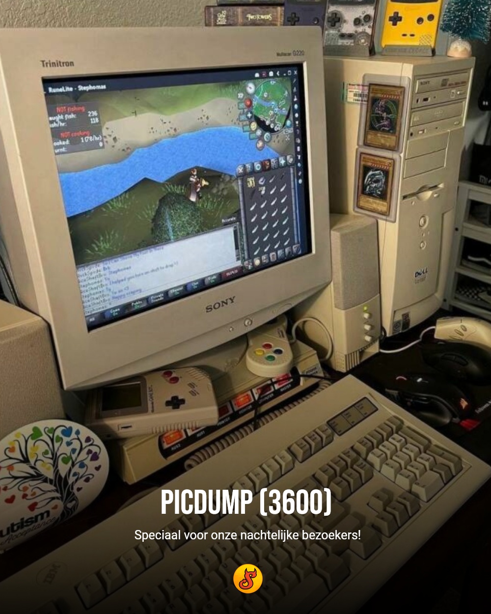 Picdump (3600)