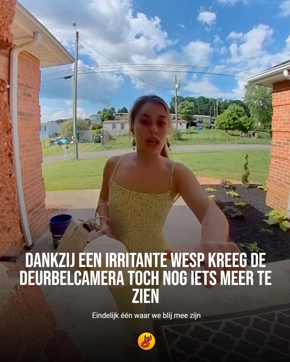 Dankzij een irritante wesp kreeg de deurbelcamera toch nog iets meer te zien
