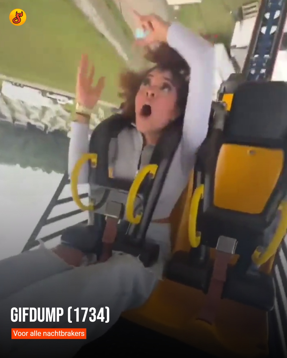 Gifdump (1734)