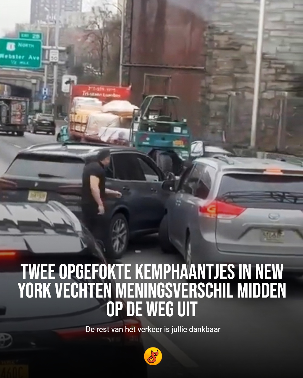 Twee opgefokte kemphaantjes in New York vechten meningsverschil midden op de weg uit