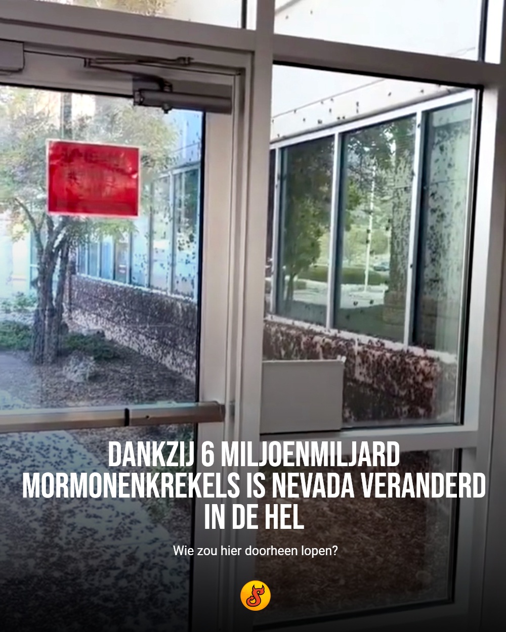 Dankzij 6 miljoenmiljard mormonenkrekels is Nevada veranderd in de hel