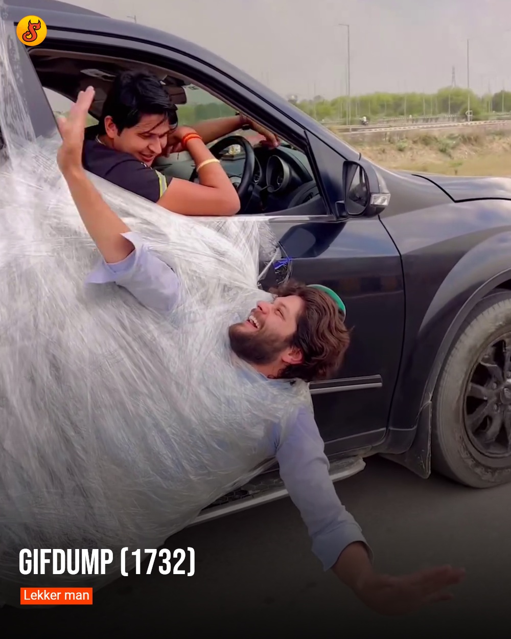 Gifdump (1732)