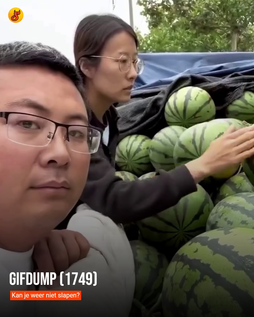 Gifdump (1749)