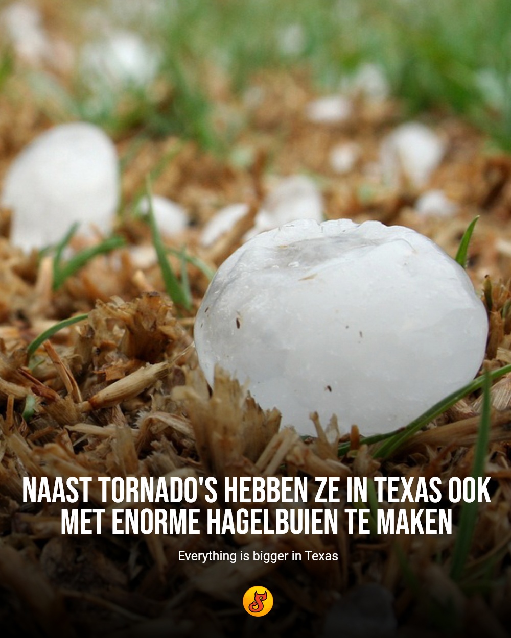 Naast tornado's hebben ze in Texas ook met enorme hagelbuien te maken