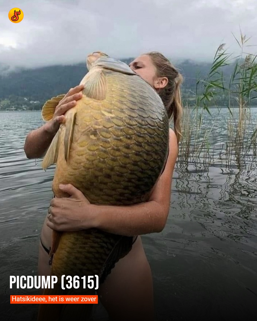 Picdump (3615)