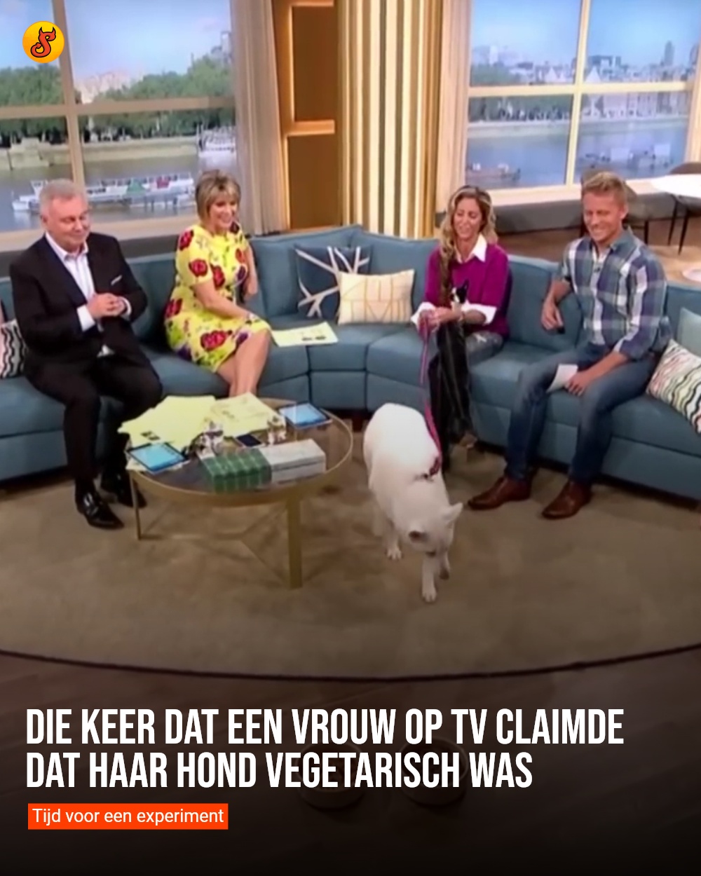 Die keer dat een vrouw op tv claimde dat haar hond vegetarisch was