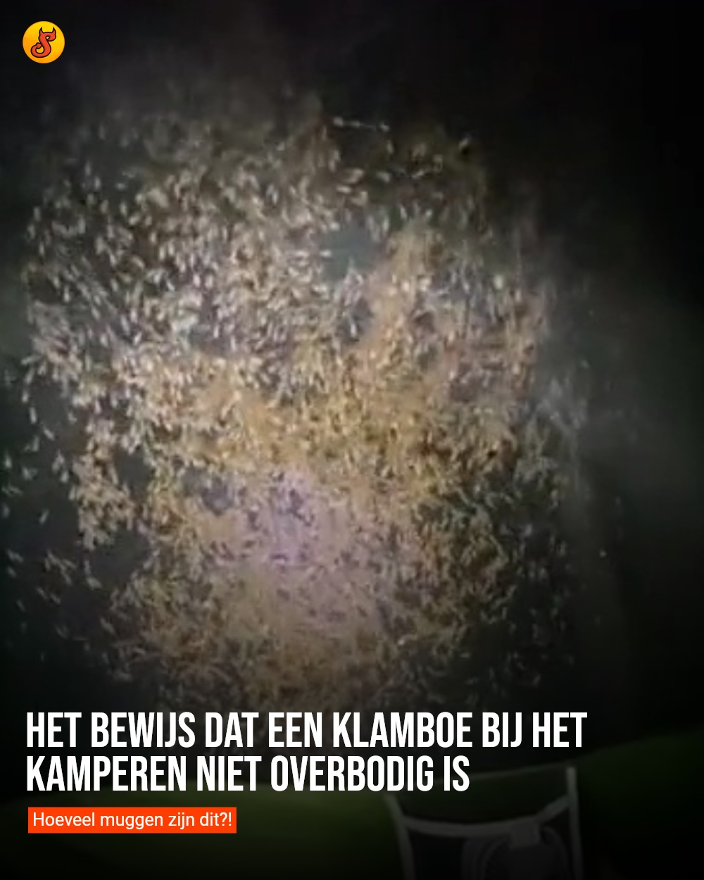 Het bewijs dat een klamboe bij het kamperen niet overbodig is