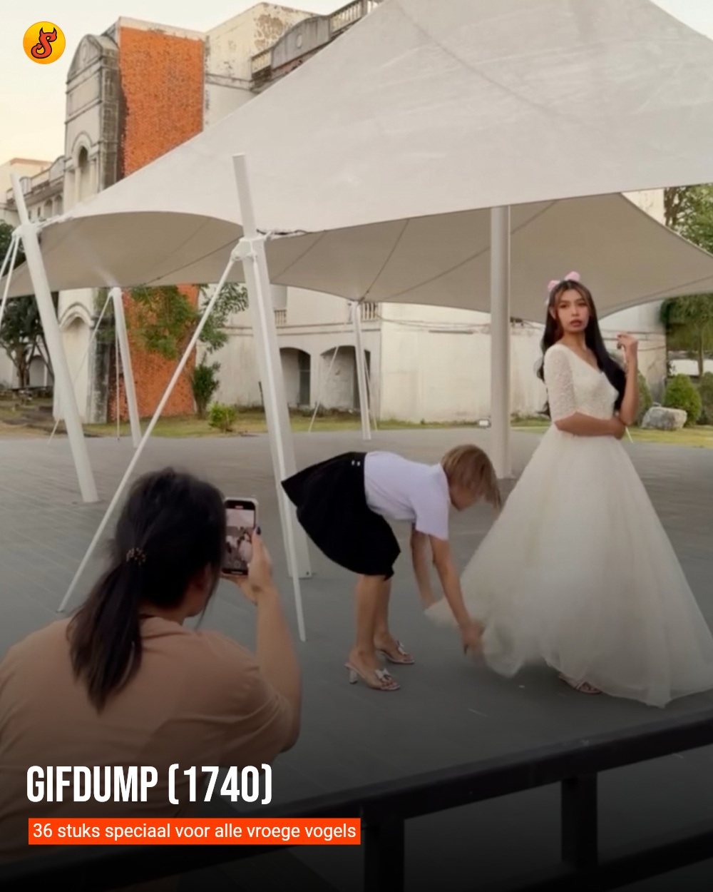 Gifdump (1740)