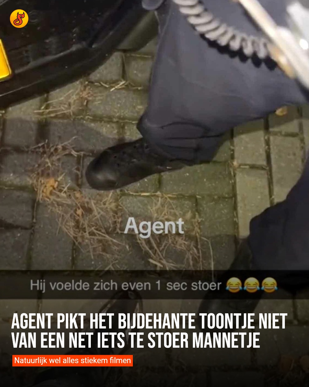 Agent pikt het bijdehante toontje niet van een net iets te stoer mannetje