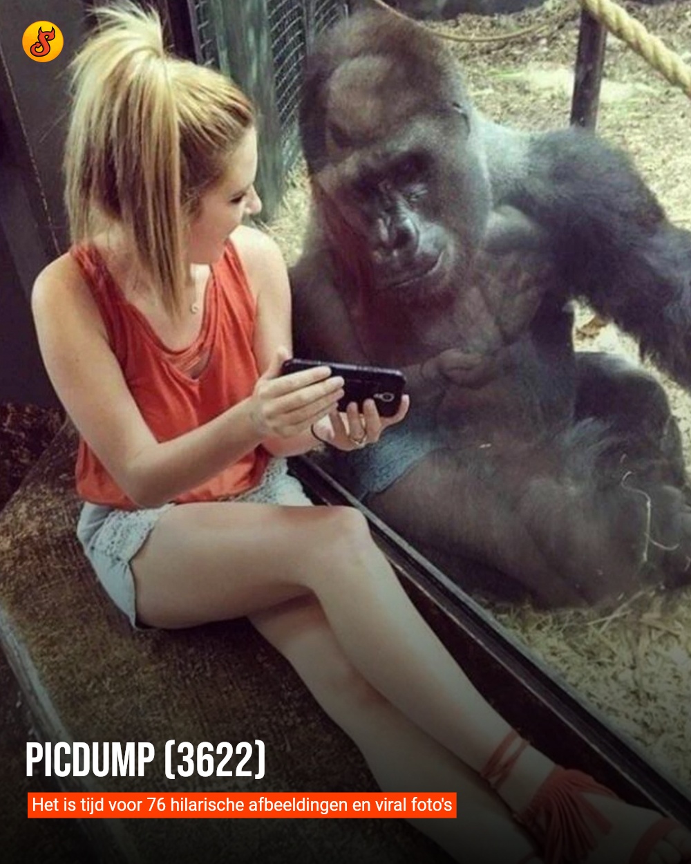 Picdump (3622)