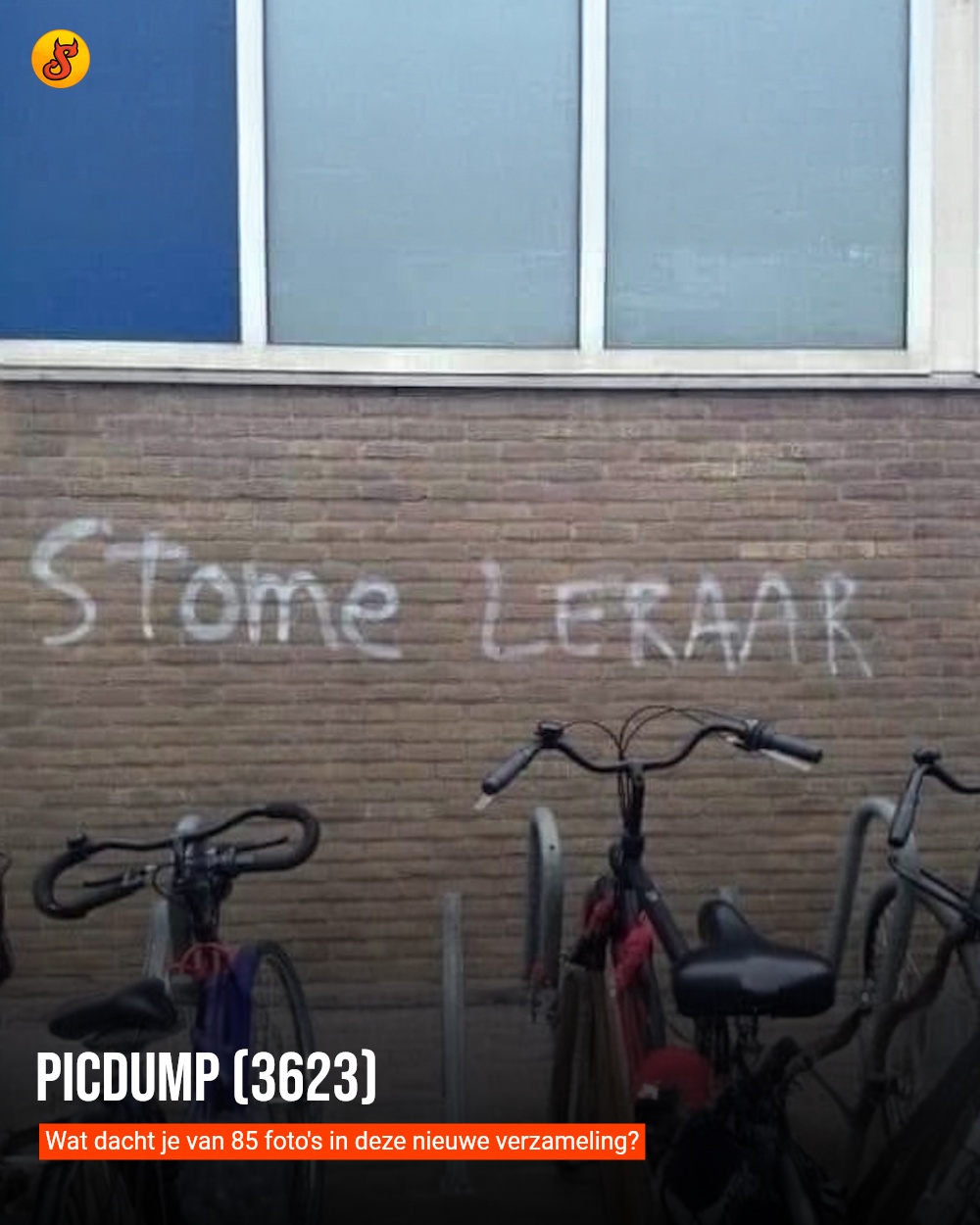 Picdump (3623)