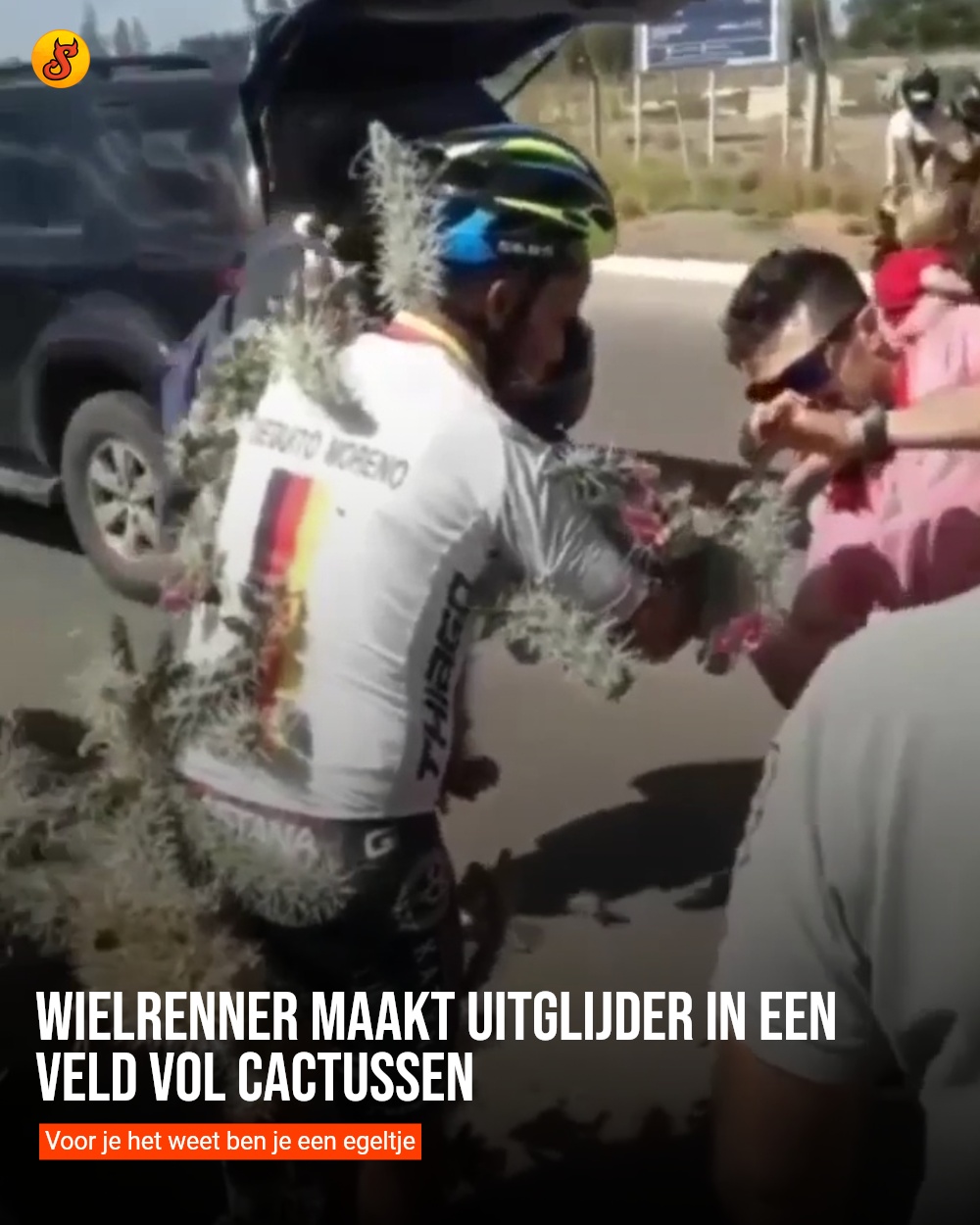 Wielrenner maakt uitglijder in een veld vol cactussen