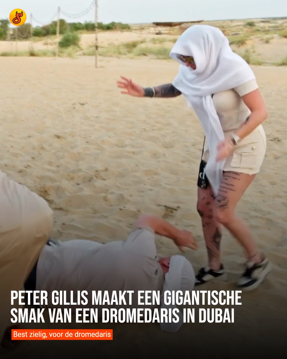 Peter Gillis maakt een gigantische smak van een dromedaris in Dubai