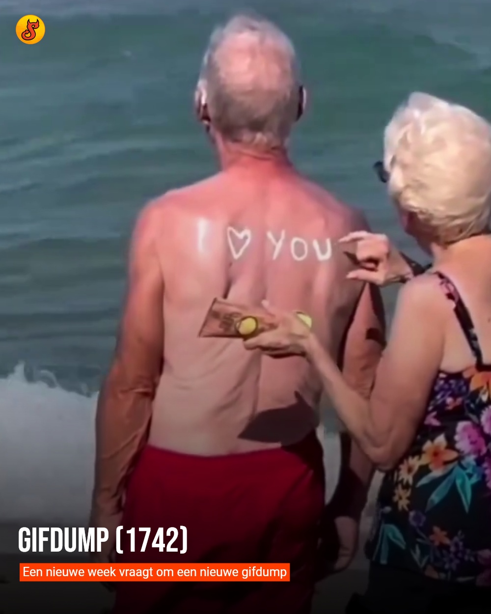 Gifdump (1742)