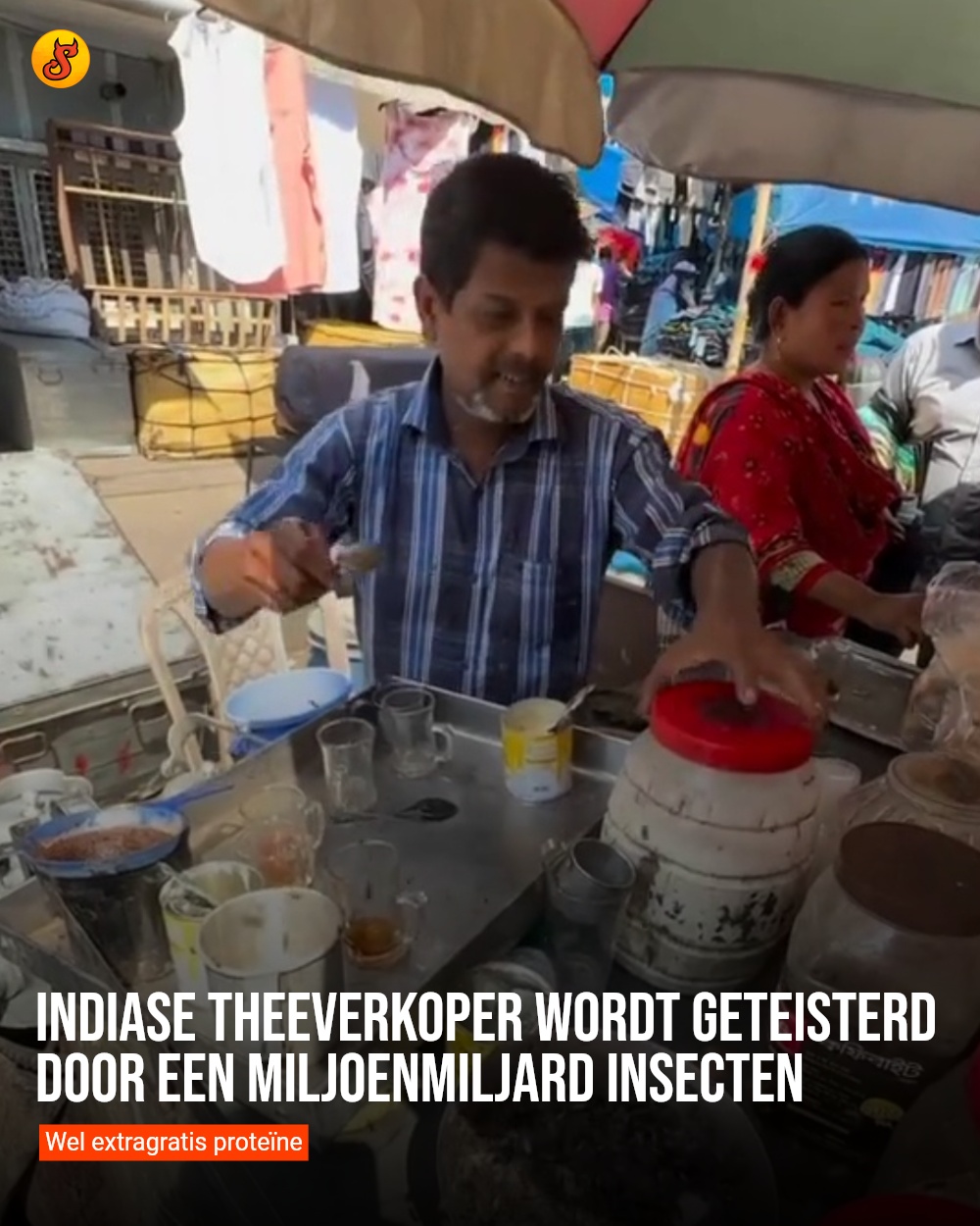 Indiase theeverkoper wordt geteisterd door een miljoenmiljard insecten