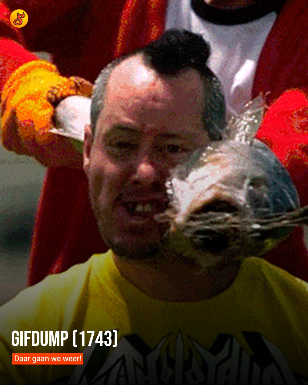 Gifdump (1743)