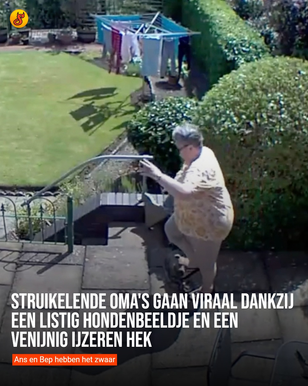 Struikelende oma's gaan viraal dankzij een listig hondenbeeldje en een venijnig ijzeren hek