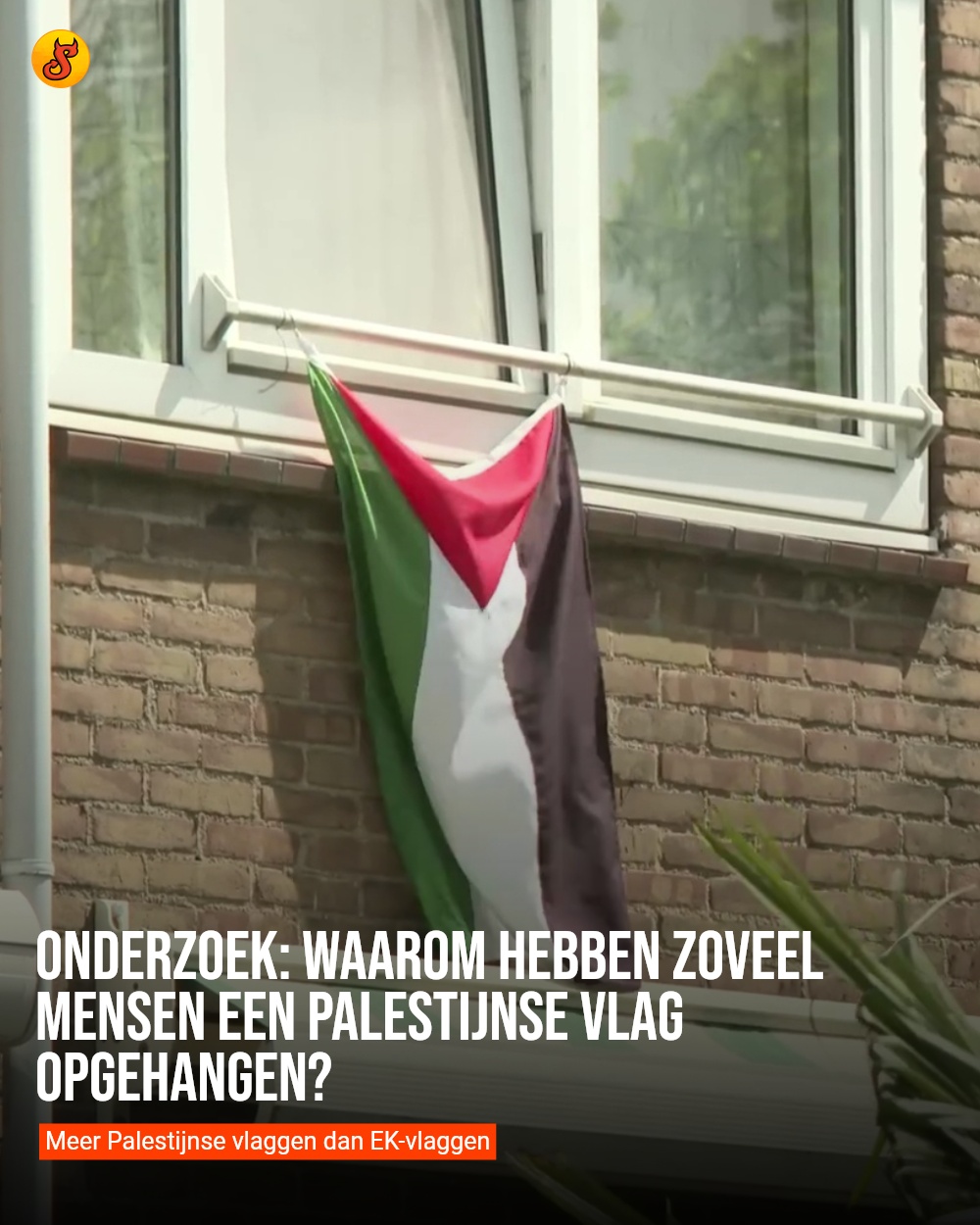 Onderzoek: waarom hebben zoveel mensen een Palestijnse vlag opgehangen?
