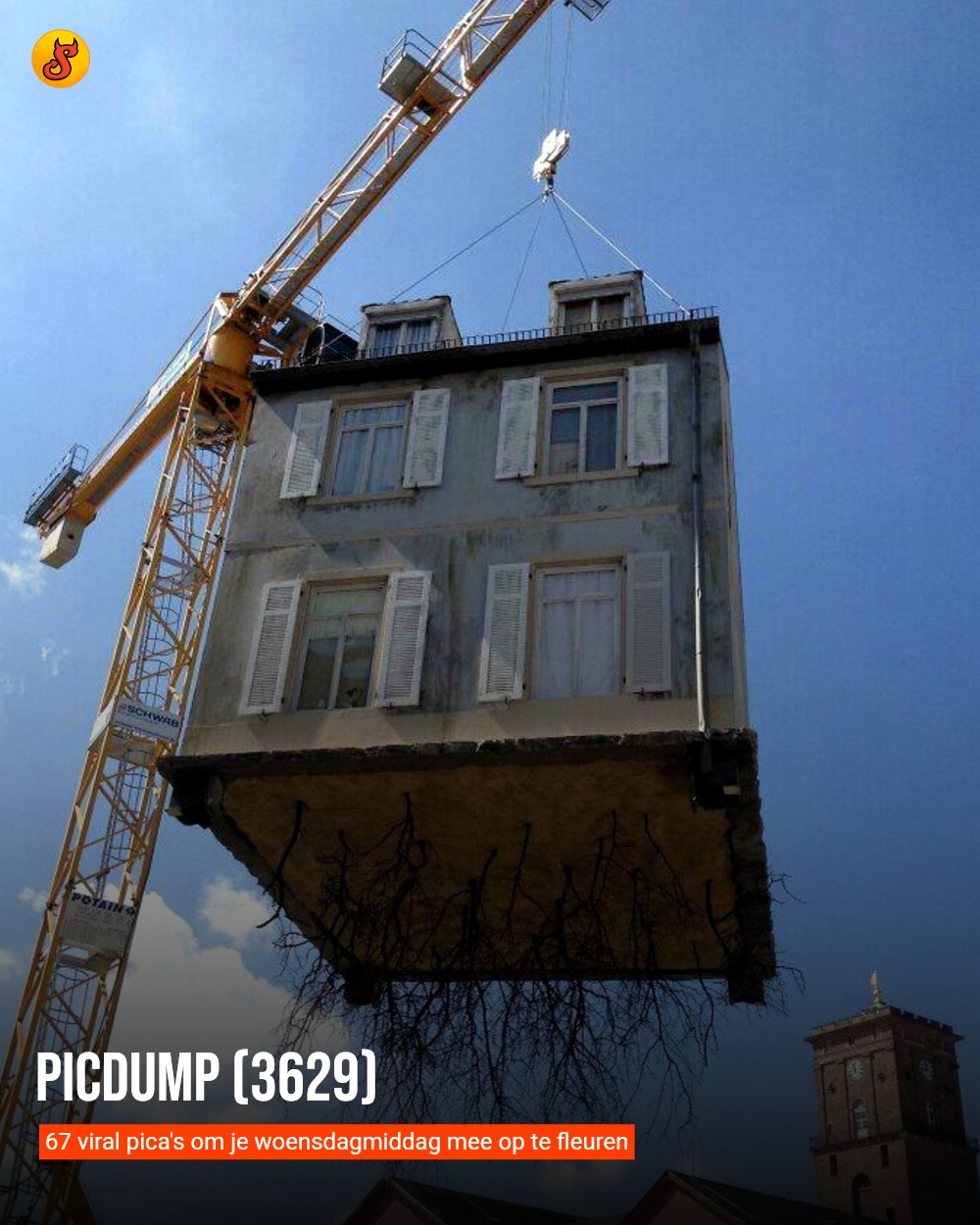 Picdump (3629)