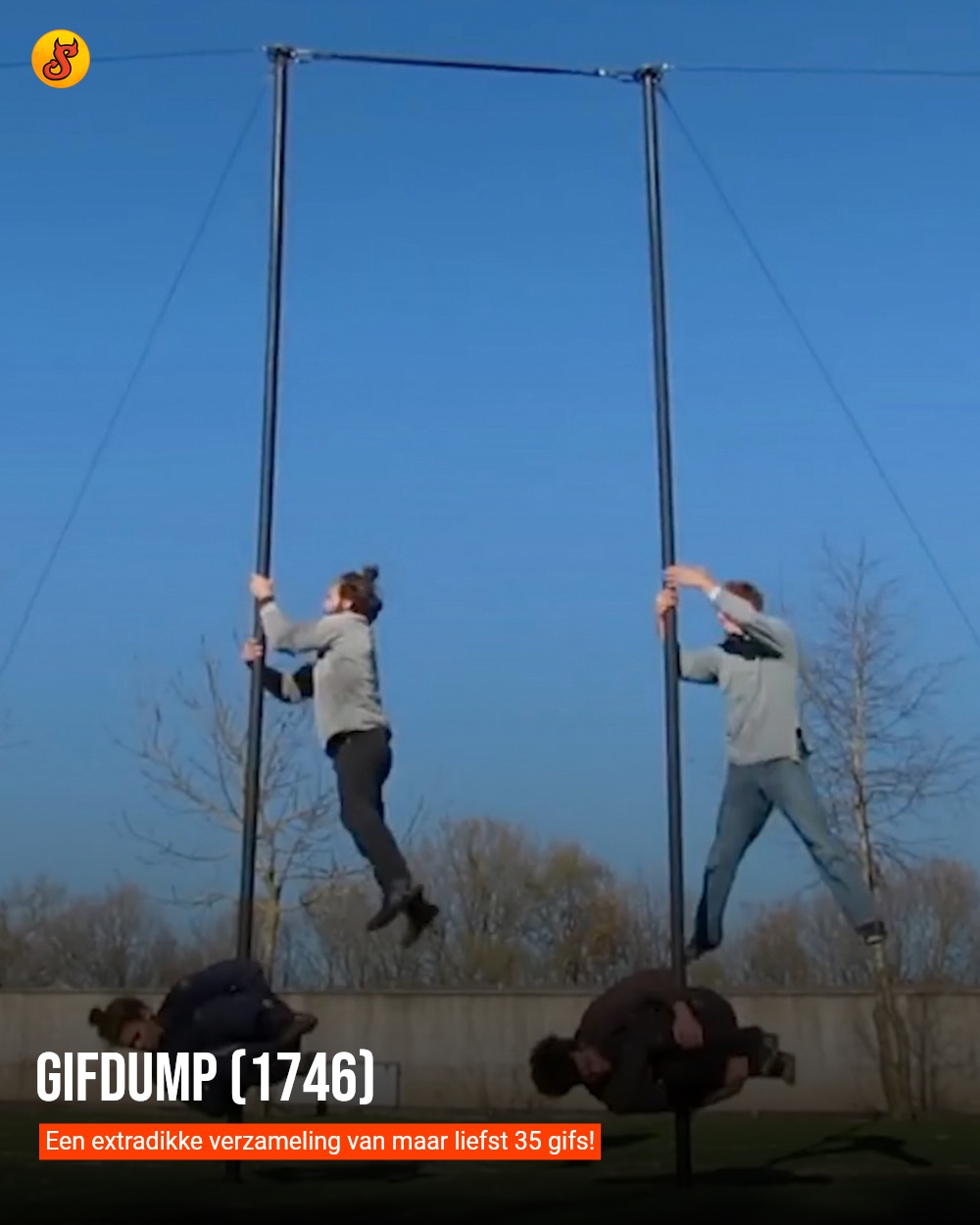 Gifdump (1746)