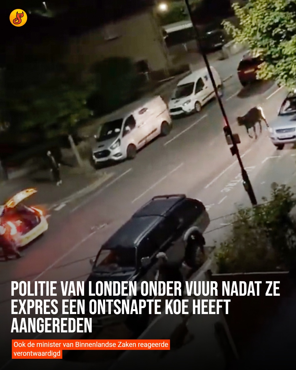 Politie van Londen onder vuur nadat ze expres een ontsnapte koe heeft aangereden