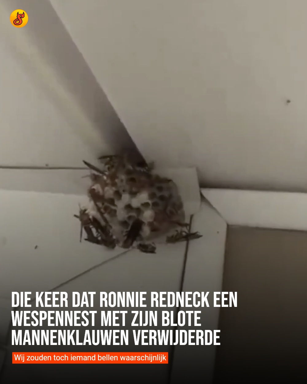 Die keer dat Ronnie Redneck een wespennest met zijn blote mannenklauwen verwijderde