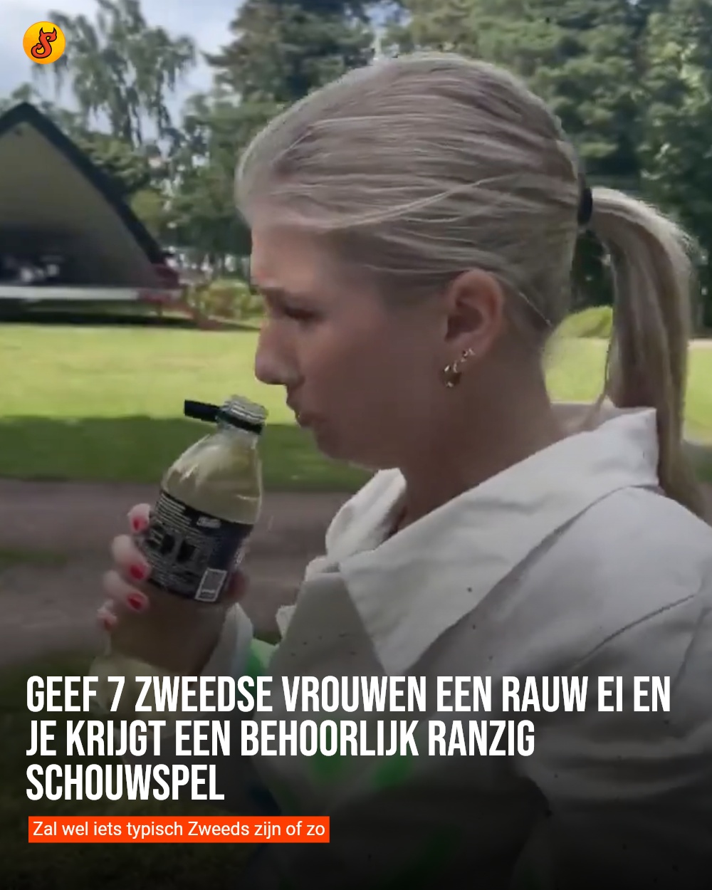 Geef 7 Zweedse vrouwen een rauw ei en je krijgt een behoorlijk ranzig schouwspel
