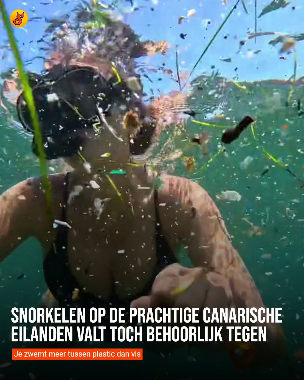 Snorkelen op de prachtige Canarische Eilanden valt toch behoorlijk tegen