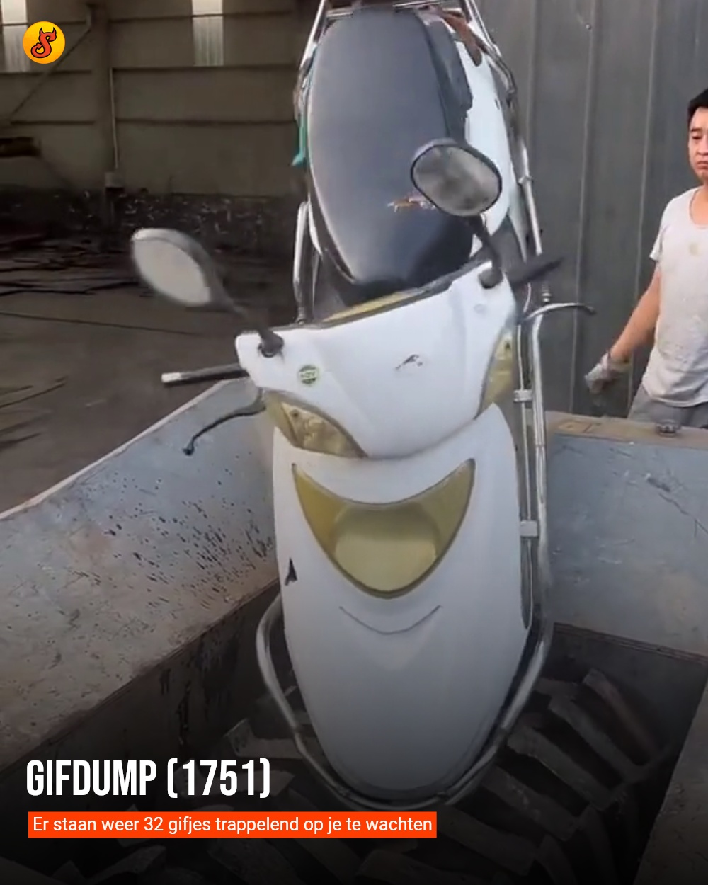 Gifdump (1751)