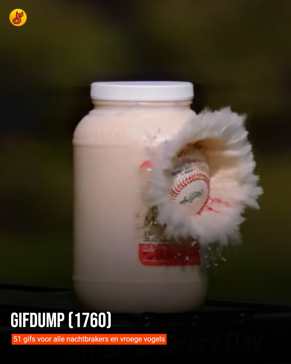 Gifdump (1760)