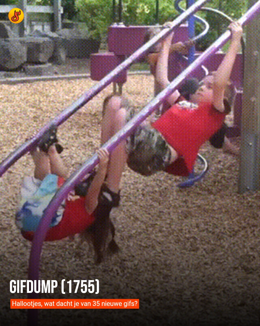 Gifdump (1755)